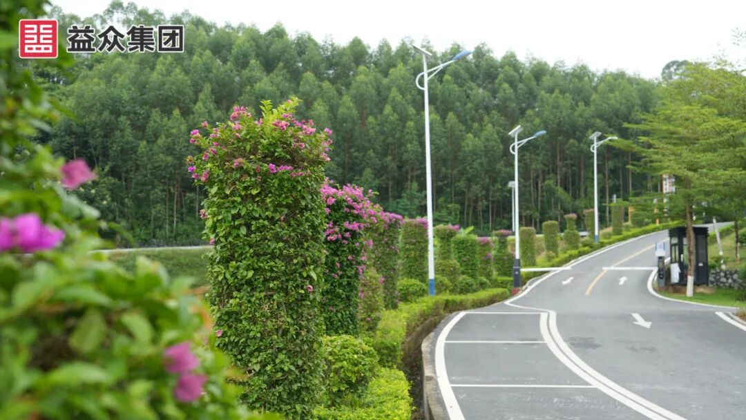 1c474304fa0cc78c7d5f6ec917e576eb 图片
