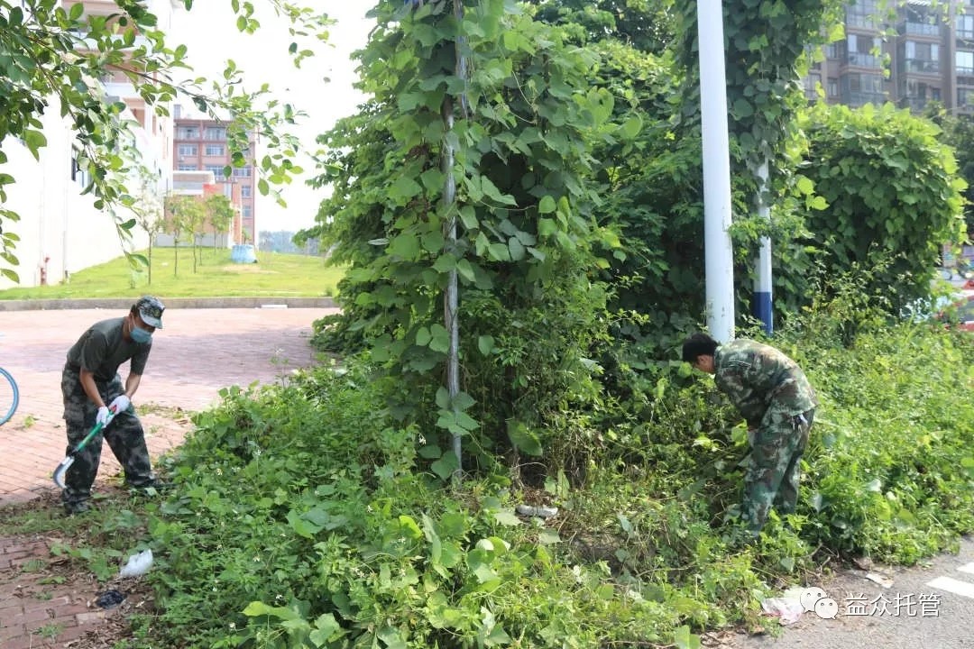 中国·37000威尼斯(股份)有限公司-官方网站